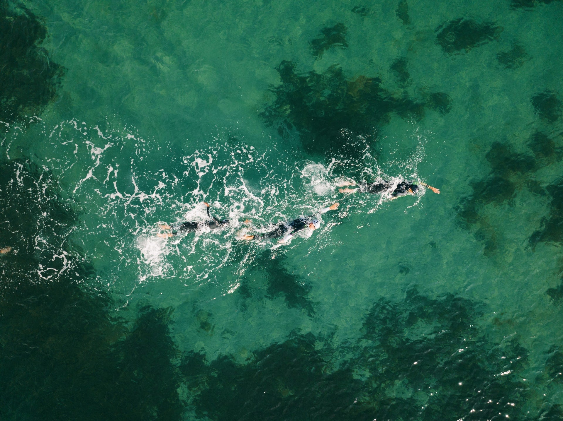 svømmere svømmer i åbent vand til et triathlon race