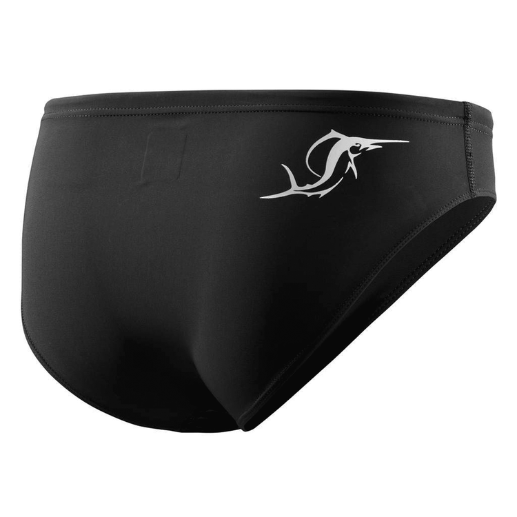 Sailfish Power Brief