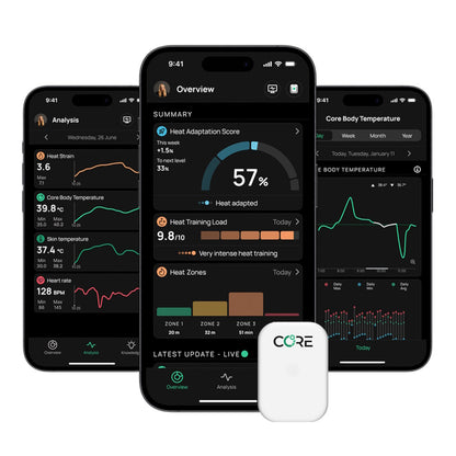 Thermischer Sensor Kern 2